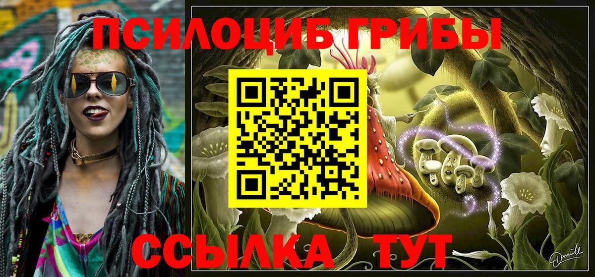 Славянск-на-Кубани  Галлюциногенные грибы MAGIC MUSHROOMS  Вход с VPN  Галлюциногенные грибы GOLDEN TEACHER 